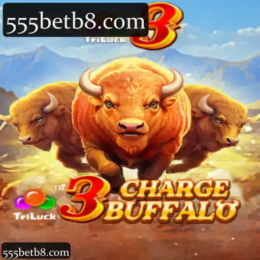 3ChargeBuffalo